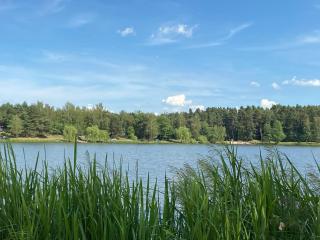 Markowa Przystań - - 0