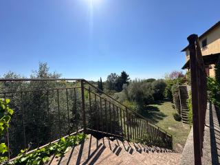 Casa Belvedere di Bolgheri - Bolgheri - 4
