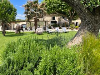 Mas de Nonin St Rémy de Provence - Noves - 9