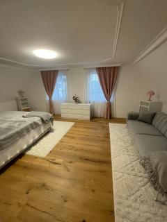Ferienhaus Linz - Linz - 3