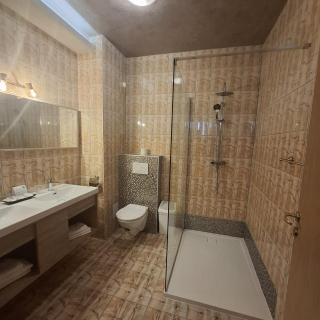 Pensiunea Warthe Bed & Breakfast - Brasov - 5