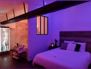 Les Sansonnets Appart & Spa - Mézy - 4