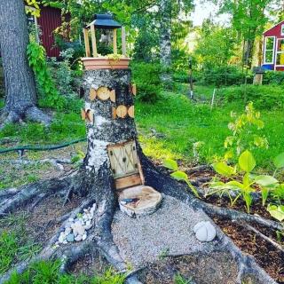 Chez-Nous Äänekoski - Äänekoski - 7