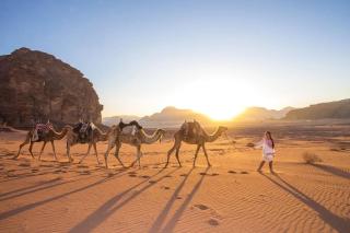 Wadi Rum Quiet Desert - Wadi Rum - 4