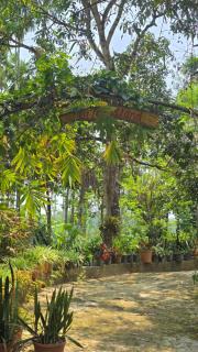 Coffeeisland vintage stay - Meenangadi - 3