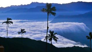 Minca El Dorado Reserve - 7