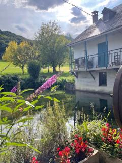 Moulin de la Ribère - - 3