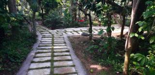 Lo Adoro Tree Hut Tourist Homestays - Ambalavayal - 2