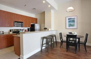 Amazing Condos Beautiful View 2 Blocks To French Quarter, Small Rooftop Pool, Gym, Seanger Theater, Super Dome, And Bourbon St - New Orleans - 2