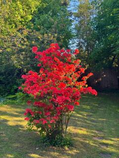 Vadgalamb Apartman & Jacuzzi - 4