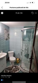 Vila Eliza Voronet - Voronet - 3