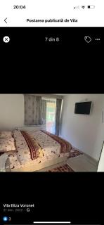 Vila Eliza Voronet - Voronet - 2