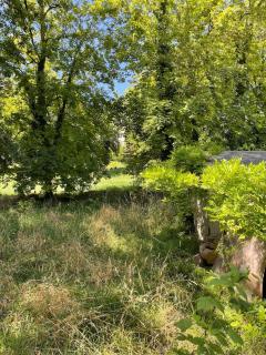Charmante maison Tourangelle - Saint-Germain-sur-Vienne - 9