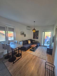 Vila Dara - Vrnjačka Banja - 2