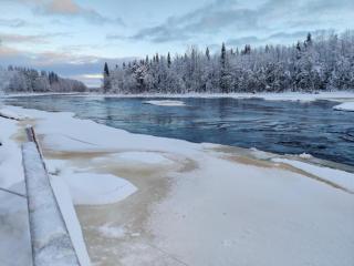 Cozy home with private sauna in Rovaniemi - - 8