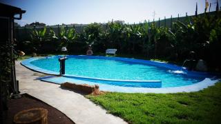 Villa Canaria Luna - Large saltwater pool - Santa María de Guía de Gran Canaria - 9