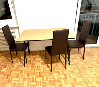 Balkonwohnung Graz neben Mol-Bio - 4