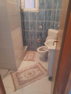 DSH home - Doglodi - 5