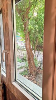 Despina's Yard - Thessaloniki - 4