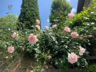 La tua casa con giardino a 2 passi dal centro - Modena - 9