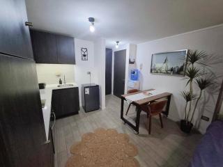 Departamento Estudio Santiago - Santiago - 9