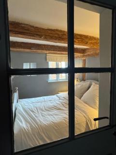 Millers Kate mit Elbblick - 6