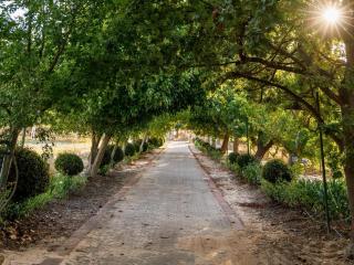 Dawn Mountains Farm - 7