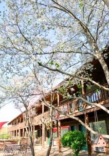 Shady Cliff Resort 103 - Lewisburg - 1