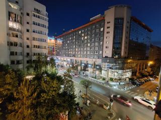 Boutique Studio with Balcony & Radisson View Calea Victoriei - Bucharest - 9
