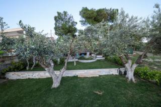Villa Laura - Salamina - 9