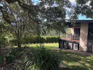Seclude Rainforest Retreat - Palm Grove - 0