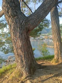Tondo - Tivat - 6