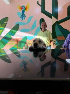 Hotel Rosandy Galaxy - 9