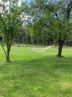 Green Paradise - Gabrovo - 9