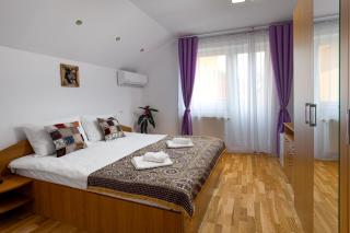 Green House Arini - Sibiu - 5