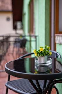 Green House Arini - Sibiu - 9