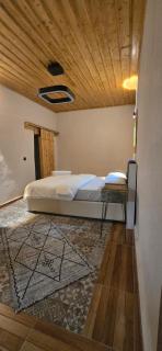 Silenos Stone House Sille Antiq City - - 6