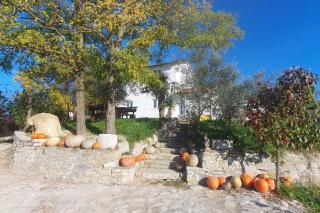 Family friendly house with a swimming pool Juradi, Central Istria - Sredisnja Istra - 24271 - Buzet - 0