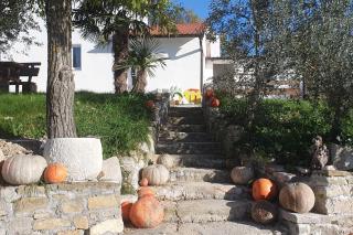 Family friendly house with a swimming pool Juradi, Central Istria - Sredisnja Istra - 24271 - Buzet - 5