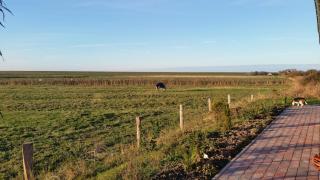 Ferienwohnung Mit Terrasse, Nur 1 Km Bis Zum Meer - Pellworm - 8