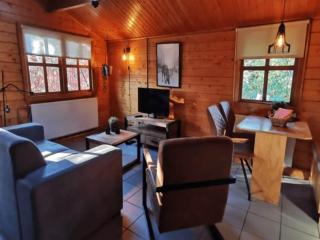 Scandinavian-style chalet in Veluwe - Haaksbergen - 6