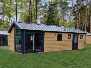 Pet-friendly chalet in Beekbergen - Beekbergen - 6