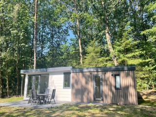 Beautiful Chalet for four people in Beekbergen - Beekbergen - 5