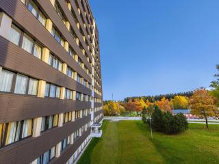 Appartment im Ferienpark in Schoeneck Vogtl - Schöneck - 9
