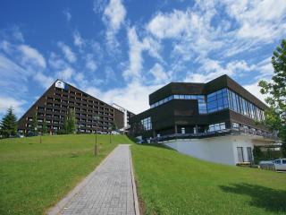 Appartment im Ferienpark in Schoeneck Vogtl - Schöneck - 7