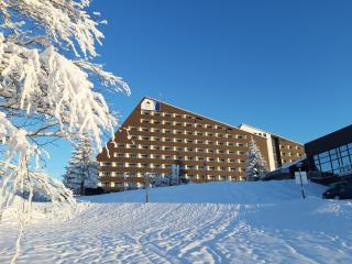 Appartment im Ferienpark in Schoeneck Vogtl - Schöneck - 6