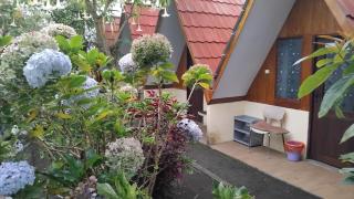 Rante Ijen Cafe & Homestay - Biau - 7