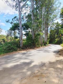Nine arch home stay - Nikawatawana - 7