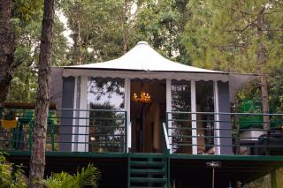 Deodar I Luxury Tent Retreat in Majkhali w Heated Pool - 1