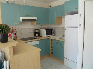 Bel appartement avec terrasse pour 4 personnes, proche plage à Port Camargue - FR-1-731-140 - Le Grau-du-Roi - 1